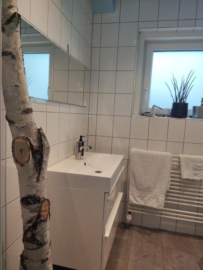 Zen Apartment - Spacious - Garden - Kitchen Karlsruhe Eksteriør bilde