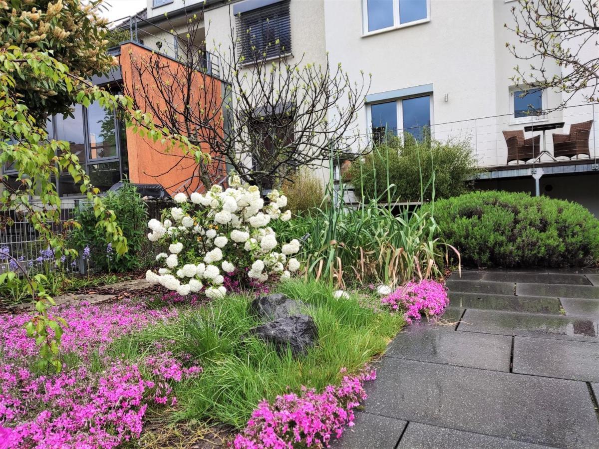 Zen Apartment - Spacious - Garden - Kitchen Karlsruhe Eksteriør bilde